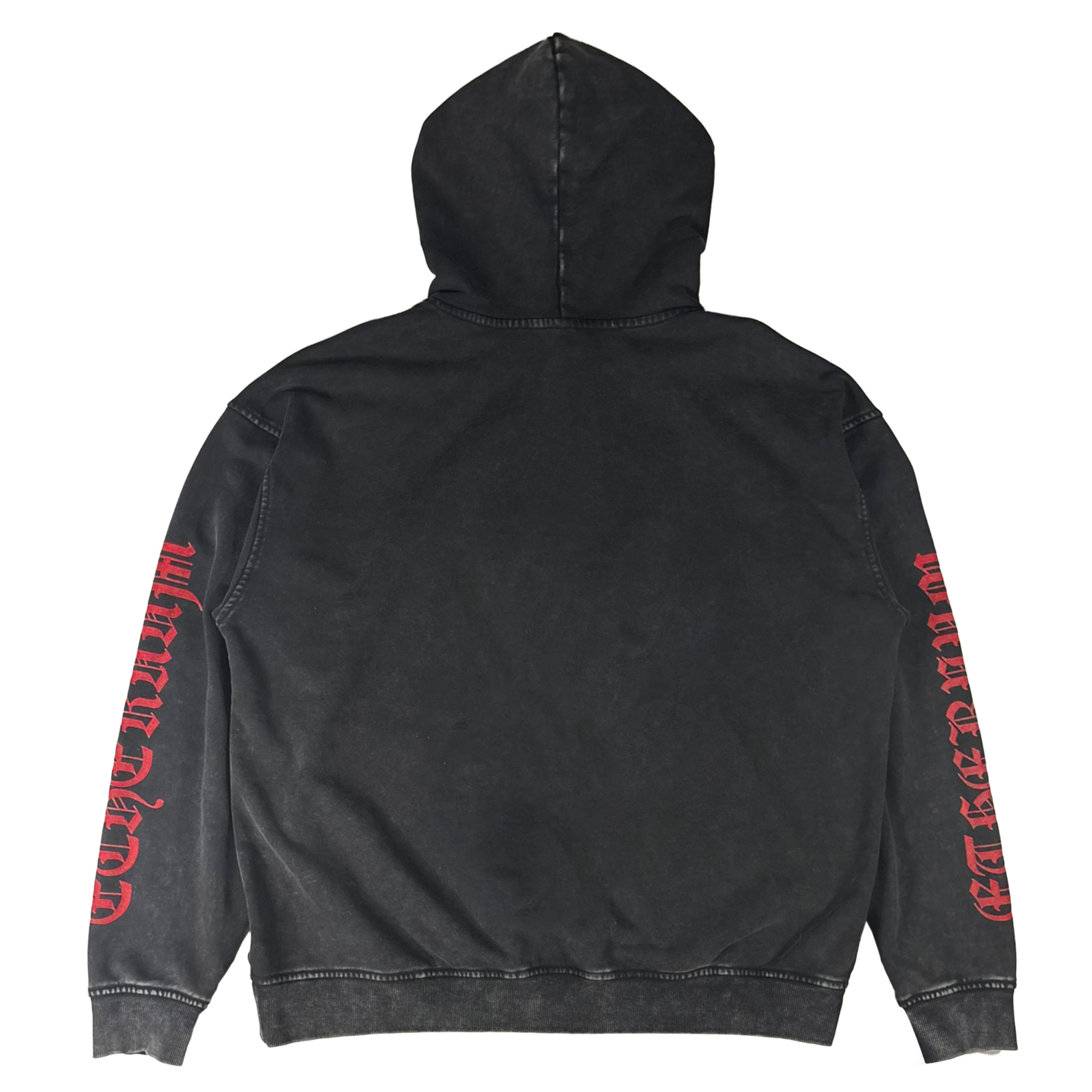 "ANARCHASIS" HOODIE